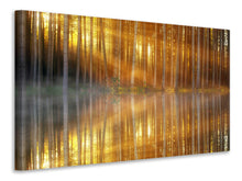 Laden Sie das Bild in den Galerie-Viewer, Leinwandbild Romantische Stimmung im Wald