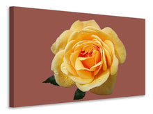 Laden Sie das Bild in den Galerie-Viewer, Leinwandbild Rose in gelb XXL
