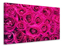 Laden Sie das Bild in den Galerie-Viewer, Leinwandbild Rosenblüten in pink