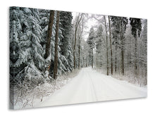 Laden Sie das Bild in den Galerie-Viewer, Leinwandbild Schnee im Wald