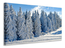 Laden Sie das Bild in den Galerie-Viewer, Leinwandbild Schöne Winterlandschaft