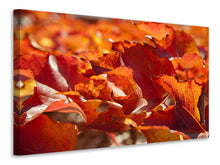 Laden Sie das Bild in den Galerie-Viewer, Leinwandbild Schönes Herbstlaub