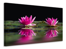 Laden Sie das Bild in den Galerie-Viewer, Leinwandbild Seerosen Duo in pink