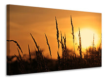 Laden Sie das Bild in den Galerie-Viewer, Leinwandbild Sonnenaufgang auf dem Feld