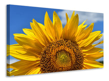 Laden Sie das Bild in den Galerie-Viewer, Leinwandbild Sonnenblume in XXL