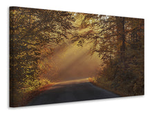 Laden Sie das Bild in den Galerie-Viewer, Leinwandbild Sonnenstrahlen im Wald