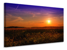 Laden Sie das Bild in den Galerie-Viewer, Leinwandbild Sonnenuntergang am Blumenfeld