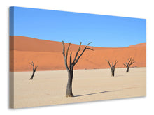 Laden Sie das Bild in den Galerie-Viewer, Leinwandbild Sossusvlei Namibia