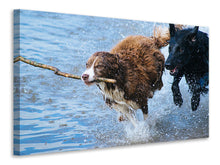 Laden Sie das Bild in den Galerie-Viewer, Leinwandbild Spielende Hunde