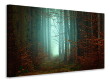 Laden Sie das Bild in den Galerie-Viewer, Leinwandbild Stimmung im Wald