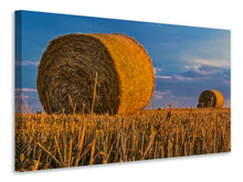 Laden Sie das Bild in den Galerie-Viewer, Leinwandbild Strohballen
