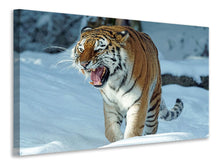 Laden Sie das Bild in den Galerie-Viewer, Leinwandbild Tiger im Schnee
