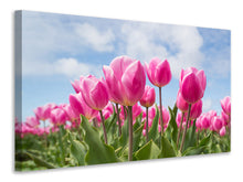 Laden Sie das Bild in den Galerie-Viewer, Leinwandbild Tulpenfeld in rosa