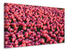 Laden Sie das Bild in den Galerie-Viewer, Leinwandbild Üppiges Tulpenfeld