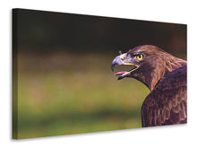 Laden Sie das Bild in den Galerie-Viewer, Leinwandbild Wachsamer Adler