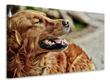 Laden Sie das Bild in den Galerie-Viewer, Leinwandbild Wachsamer Irish Setter