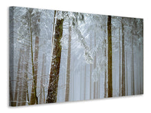 Laden Sie das Bild in den Galerie-Viewer, Leinwandbild Wald im Winter