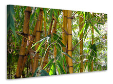 Laden Sie das Bild in den Galerie-Viewer, Leinwandbild Wilder Bambus