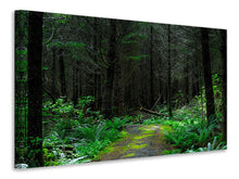 Laden Sie das Bild in den Galerie-Viewer, Leinwandbild Wilder Wald