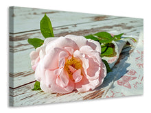 Laden Sie das Bild in den Galerie-Viewer, Leinwandbild Wildrose in rosa