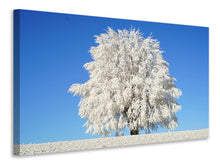 Laden Sie das Bild in den Galerie-Viewer, Leinwandbild Winter Baum
