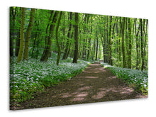 Laden Sie das Bild in den Galerie-Viewer, Leinwandbild Wir lieben den Sommer im Wald