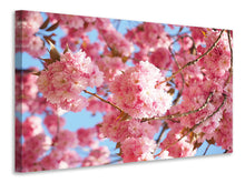 Laden Sie das Bild in den Galerie-Viewer, Leinwandbild Wunderschöne Kirschblüten