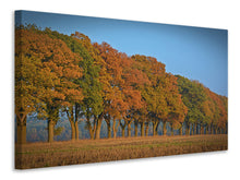 Laden Sie das Bild in den Galerie-Viewer, Leinwandbild Wunderschöner Herbst