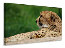 Laden Sie das Bild in den Galerie-Viewer, Leinwandbild XL Gepard