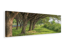 Laden Sie das Bild in den Galerie-Viewer, Leinwandbild Panorama Alter Baumbestand