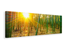 Laden Sie das Bild in den Galerie-Viewer, Leinwandbild Panorama Bambusse
