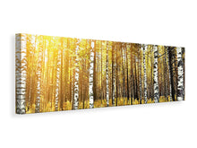 Laden Sie das Bild in den Galerie-Viewer, Leinwandbild Panorama Birkenwald