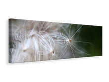 Laden Sie das Bild in den Galerie-Viewer, Leinwandbild Panorama Close up Blütenfasern