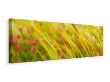 Laden Sie das Bild in den Galerie-Viewer, Leinwandbild Panorama Das Weizenfeld