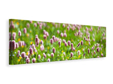 Laden Sie das Bild in den Galerie-Viewer, Leinwandbild Panorama Der Wiesenklee