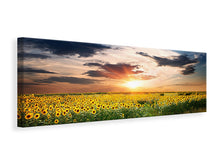 Laden Sie das Bild in den Galerie-Viewer, Leinwandbild Panorama Ein Feld von Sonnenblumen