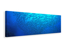 Laden Sie das Bild in den Galerie-Viewer, Leinwandbild Panorama Fischwelt