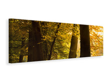 Laden Sie das Bild in den Galerie-Viewer, Leinwandbild Panorama Herbstlaub