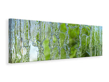 Laden Sie das Bild in den Galerie-Viewer, Leinwandbild Panorama Hinter dem Wasserfall