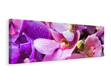Laden Sie das Bild in den Galerie-Viewer, Leinwandbild Panorama Im Orchideenparadies
