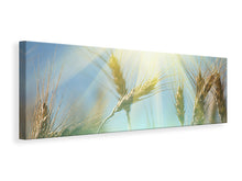 Laden Sie das Bild in den Galerie-Viewer, Leinwandbild Panorama König des Getreides