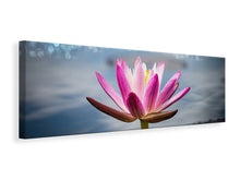 Laden Sie das Bild in den Galerie-Viewer, Leinwandbild Panorama Lotus im Morgentau