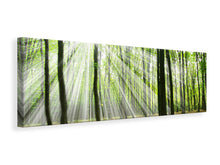Laden Sie das Bild in den Galerie-Viewer, Leinwandbild Panorama Magisches Licht in den Bäumen