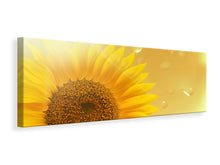 Laden Sie das Bild in den Galerie-Viewer, Leinwandbild Panorama Sonnenblume im Morgentau
