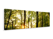 Laden Sie das Bild in den Galerie-Viewer, Leinwandbild Panorama Sonnenuntergang zwischen den Bäumen