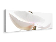 Laden Sie das Bild in den Galerie-Viewer, Leinwandbild Panorama XXL Orchideenblüte