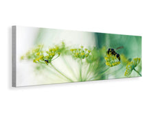 Laden Sie das Bild in den Galerie-Viewer, Leinwandbild Panorama XXL Pastinak