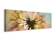 Laden Sie das Bild in den Galerie-Viewer, Leinwandbild Panorama XXL Pusteblume