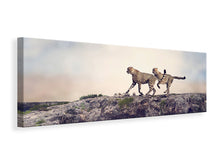 Laden Sie das Bild in den Galerie-Viewer, Leinwandbild Panorama Zwei Geparden