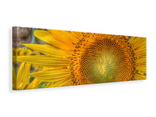Laden Sie das Bild in den Galerie-Viewer, Leinwandbild Panorama Blütenstand einer Sonnenblume